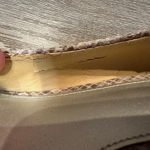 Coach Snakeskin Pumps - Picture 8 of 12